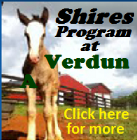 Shires Program at VAB